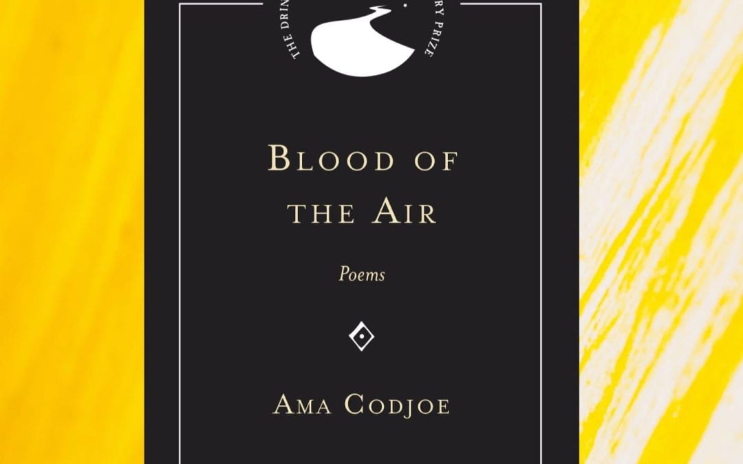 Ama Codjoe – Blood of the Air, 2019